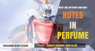 Exploring Perfume Layers: Top Heart and Base Notes Unveiled
