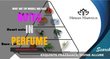 The Art of Perfume: Understanding Notes