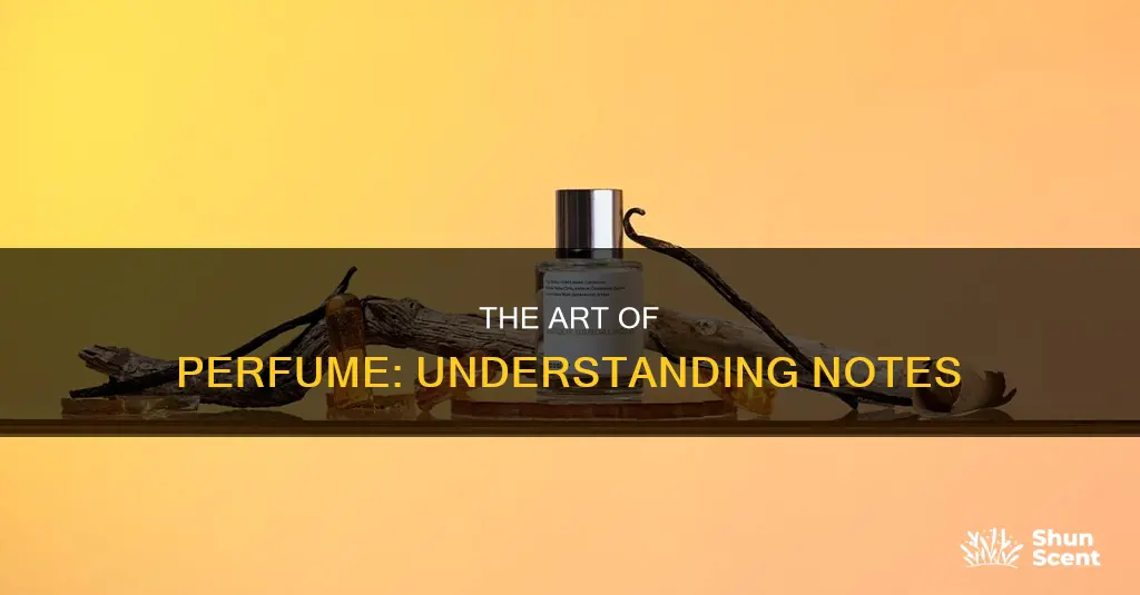 what are top middle and base notes in perfume