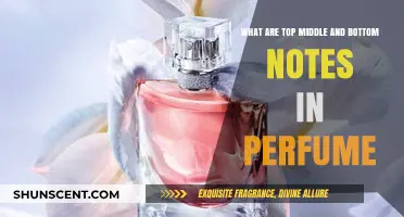 Understanding Perfume Notes: Top, Middle, and Base Explained