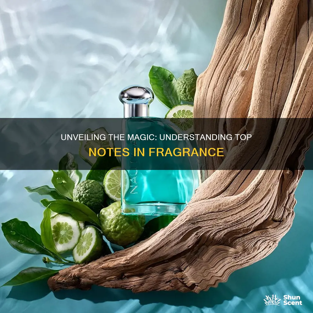 what are top notes in fragrance