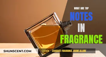 The Alluring World of Fragrance Top Notes