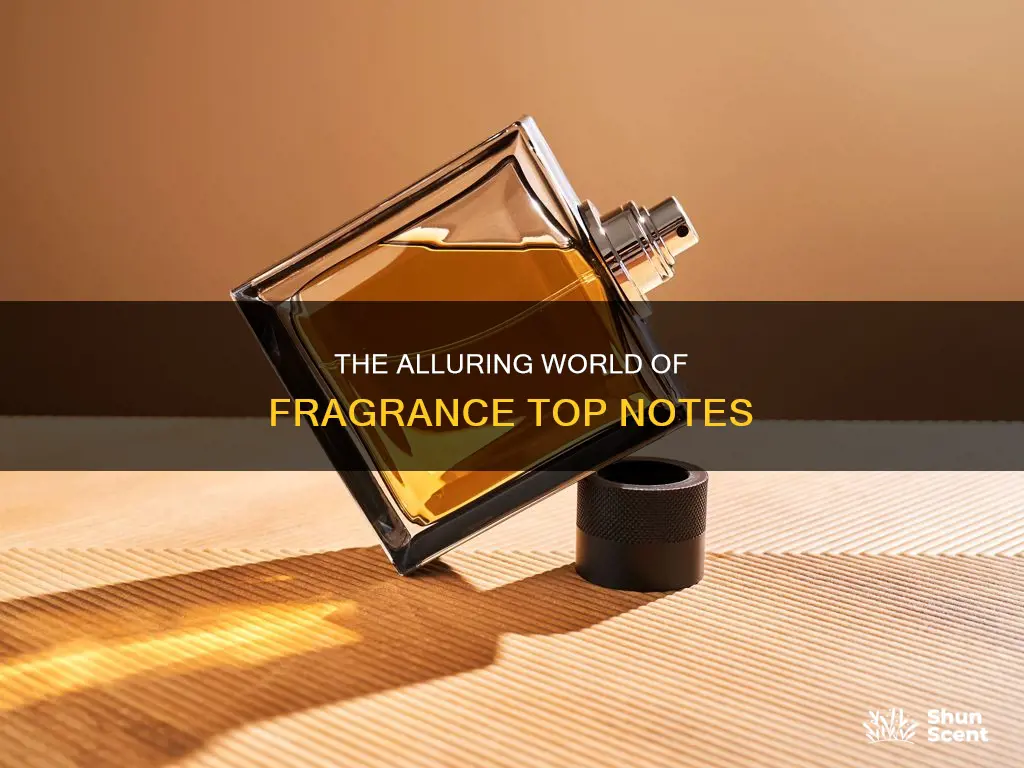 what are top notes in fragrance