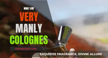 Masculine Fragrance Power: Choosing a Rugged Cologne