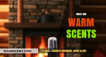 Cozy Aromas: Exploring the Comforting World of Warm Scents