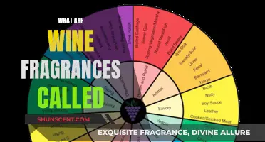 Uncorking the Secrets: Wine's Fragrant Essence