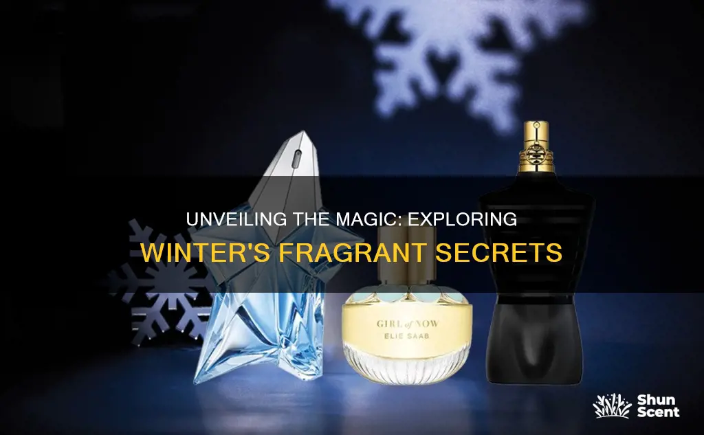 what are winter fragrances