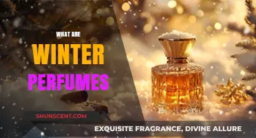Discover the Warmth: What Are Winter Perfumes and Why You Need Them