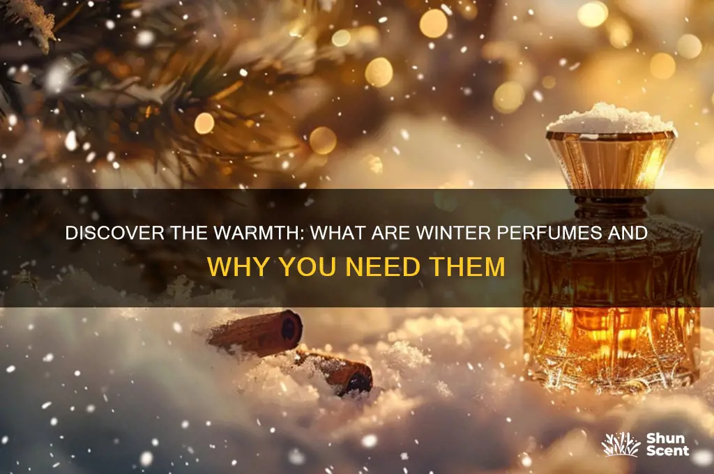 what are winter perfumes