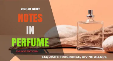 Exploring Woody Notes: The Earthy, Warm Heart of Perfumery