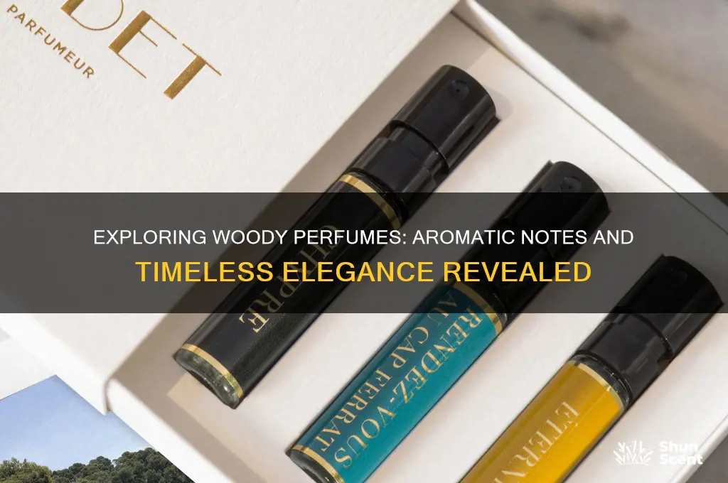 what are woody perfumes