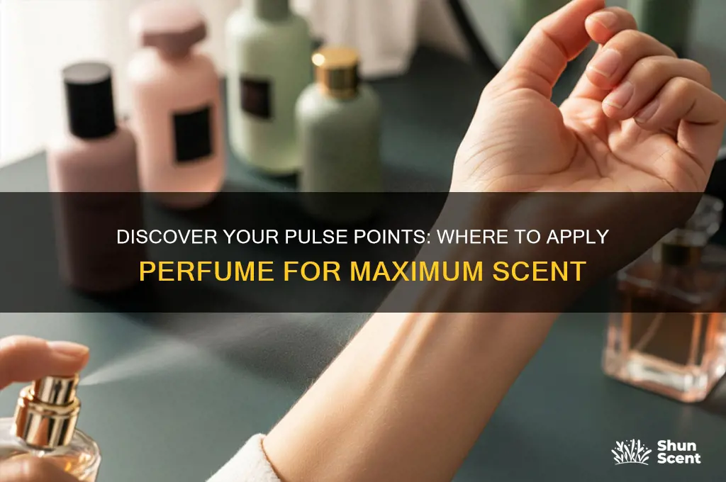 what are your pulse points for perfume