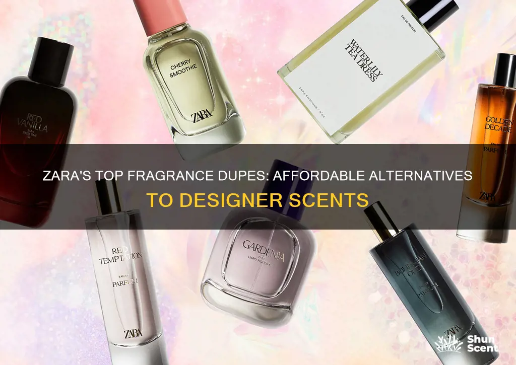 what are zara fragrances dupes for