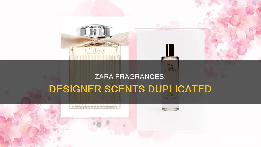 what are zara fragrances dupes for
