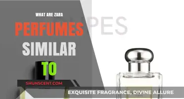 Discover Zara Perfumes' Surprising High-End Fragrance Twins and Dupes