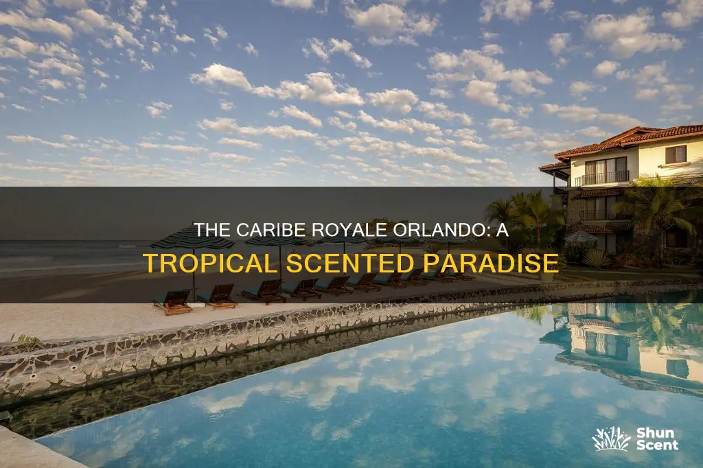 what aroma does the caribe royale orlando