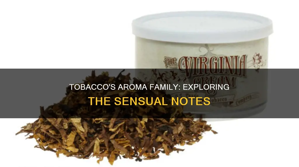 what aroma family is tobacco