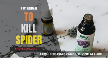 Aroma Spider-Repellent: Natural Ways to Keep Spiders Away