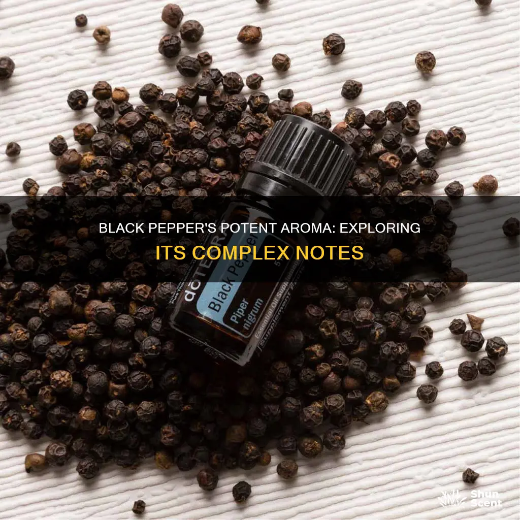 what aroma note is black pepper