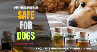 Aroma Scents: Keeping Your Dog Safe and Happy