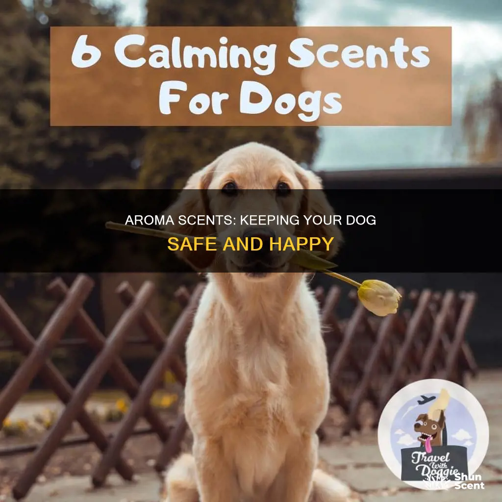 what aroma scents are safe for dogs