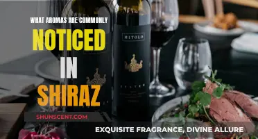 Shiraz's Aromatic Profile: A Guide to Common Aromas