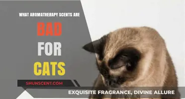 Aromatherapy Scents to Avoid: Protecting Your Cat's Health and Safety