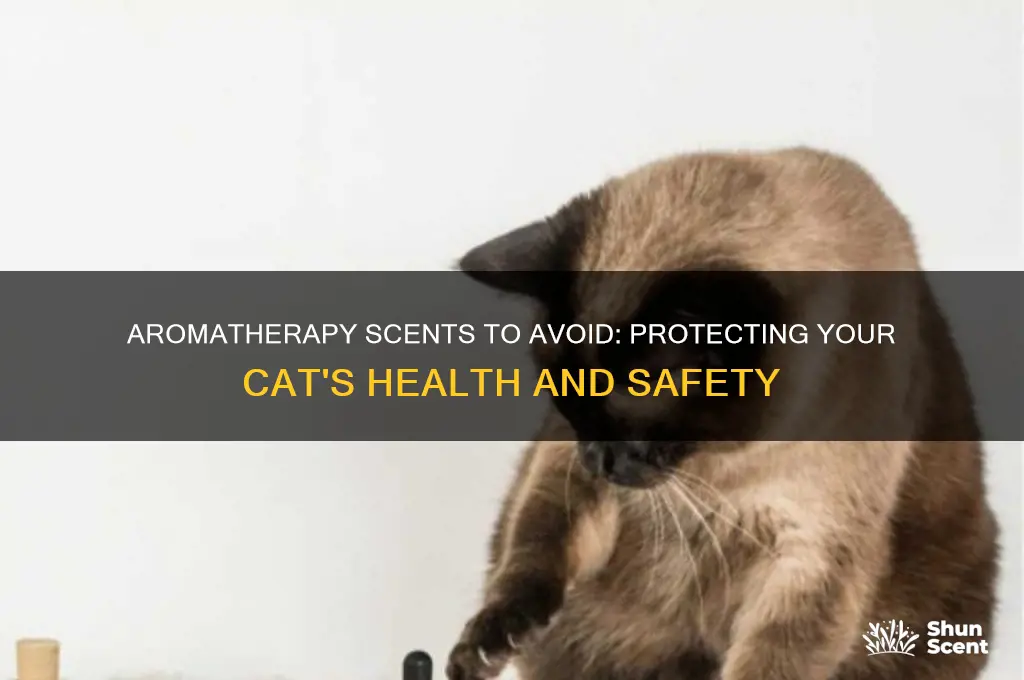what aromatherapy scents are bad for cats
