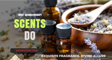 Discover How Aromatherapy Scents Enhance Mood, Health, and Well-Being