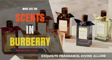 Exploring the Signature Scents in Burberry's Iconic Fragrance Collection