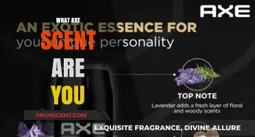 Discover Your Signature Scent: Which AXE Fragrance Matches Your Personality?