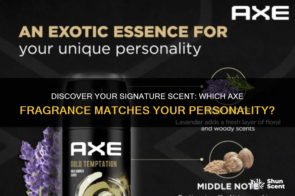 what axe scent are you