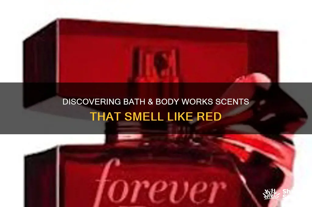 what bath and body works scent smell like red