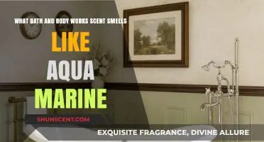 Discover the Bath and Body Works Scent That Mimics Aqua Marine