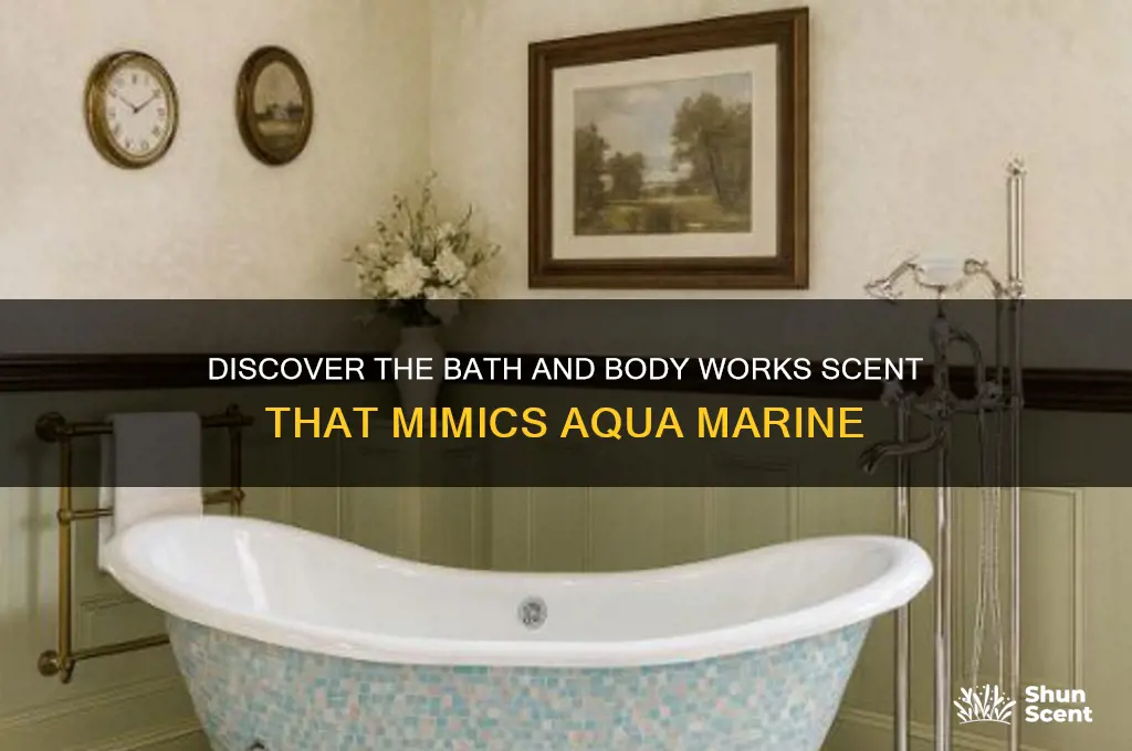 what bath and body works scent smells like aqua marine