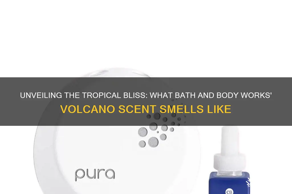 what bath and body works scent smells like volcano