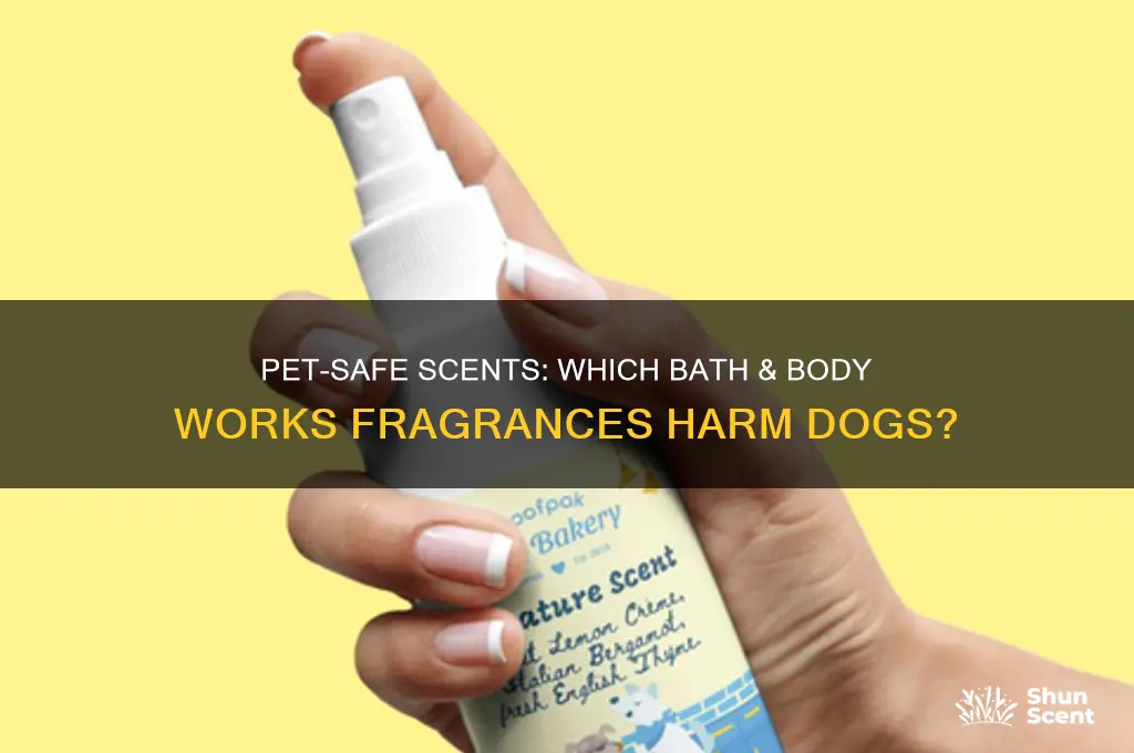 what bath and body works scents are toxic to dogs
