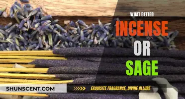 Incense vs Sage: Which is the Better Choice?