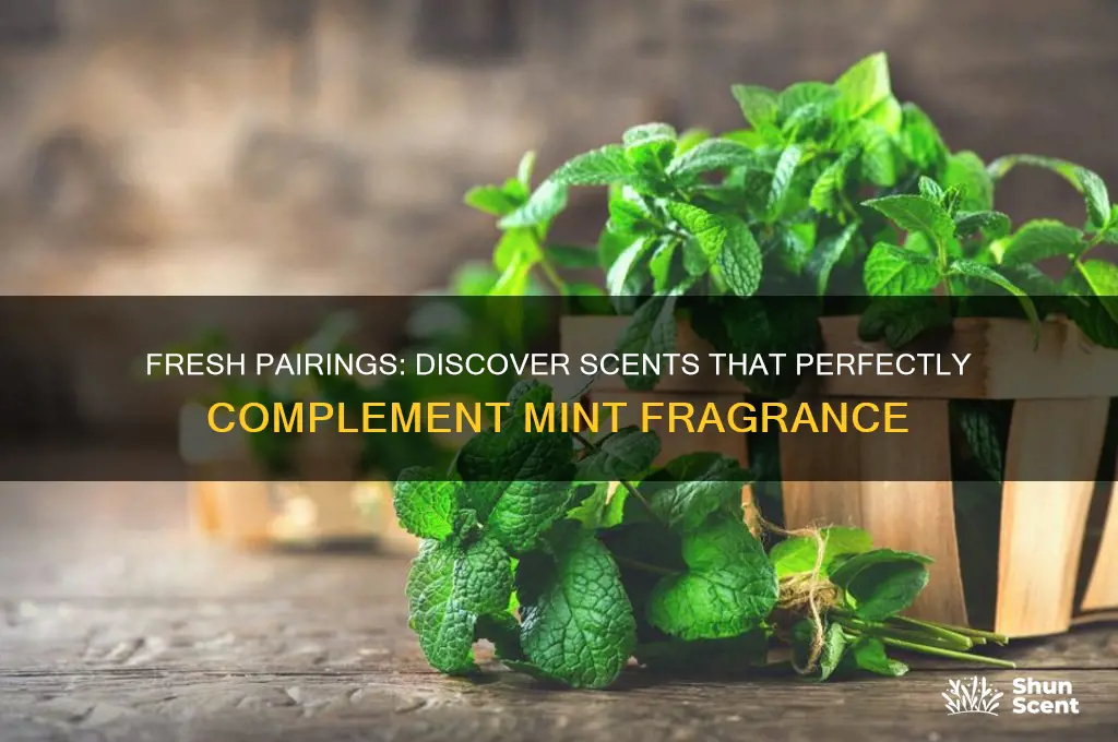 what blends well with mint scent