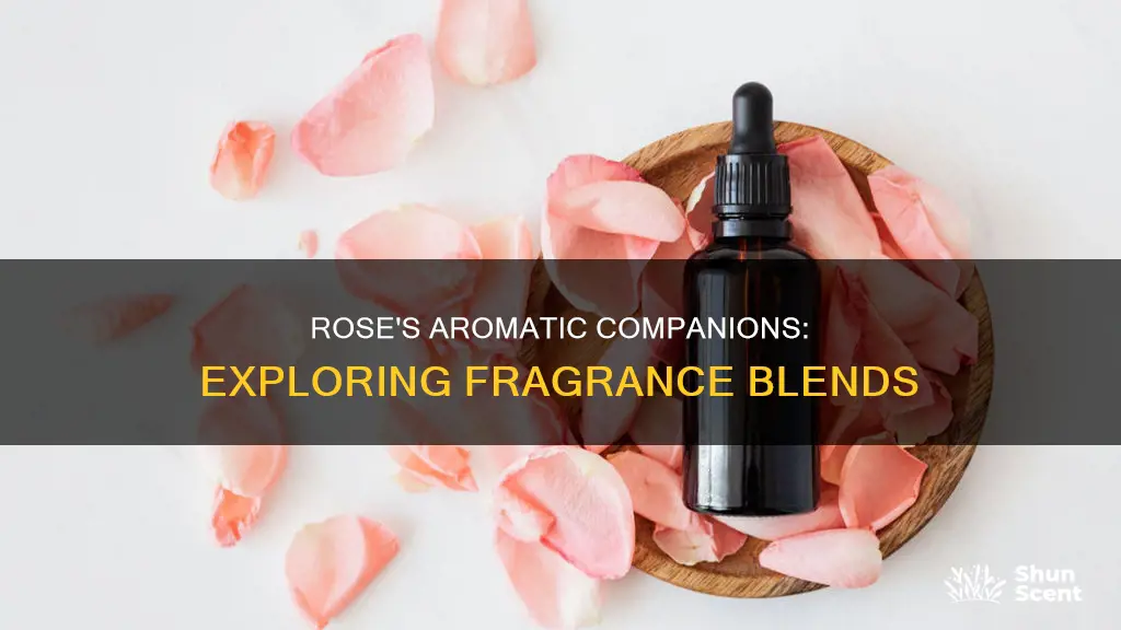 what blends well with rose fragrance oil