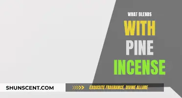 Incense Aromas That Complement Pine Scents Perfectly