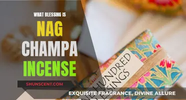 Nag Champa Incense: A Fragrant Blessing for the Soul