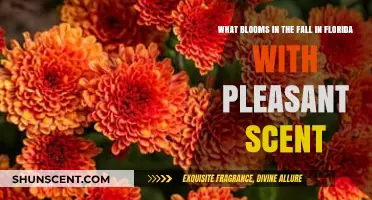 Fragrant Fall Flowers: Florida's Sweet-Smelling Autumn Blooms Revealed