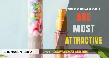 The Science of Attraction: Decoding Irresistible Body Scents and Aromas