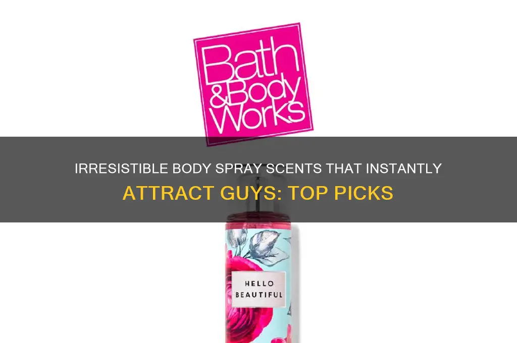 what body spray scents attract guys