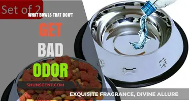 Fresh and Odor-Free: The Ultimate Guide to Choosing the Best Bowls