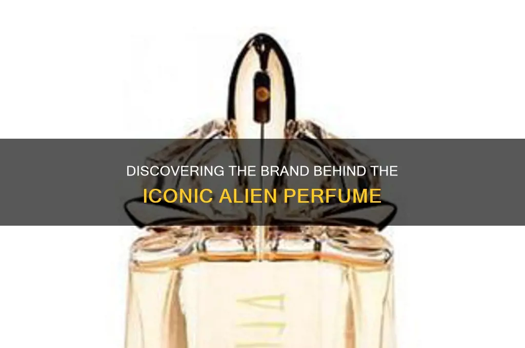 what brand is alien perfume