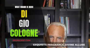 Aqua di Gio: Unraveling the Brand Behind the Iconic Scent