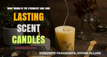 Discover the Strongest, Longest-Lasting Scented Candle Brands for Your Home