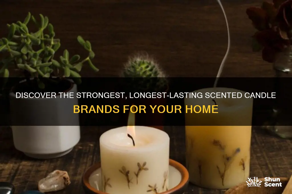 what brand is the strongest and long lasting scent candles